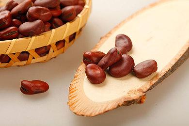 《乐高星球大战：天行者传奇》玩家数量达到500万